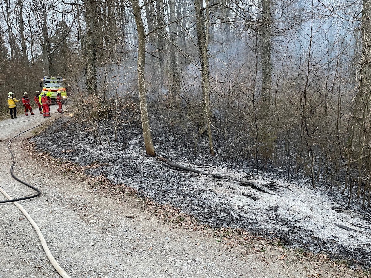Brand Oberneunforn Wald Oberholz Waldboden
