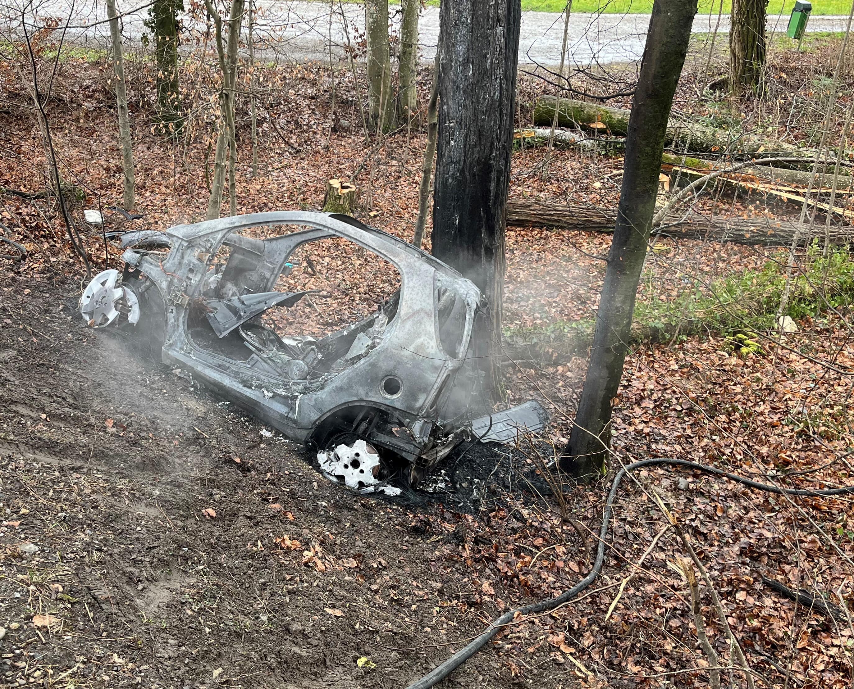 Diessenhofen Selbstunfall Brand Auto nicht verletzt selbständig verlassen
